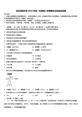 吴忠高级中学2025年高一生物第二学期期末达标测试试题含解析