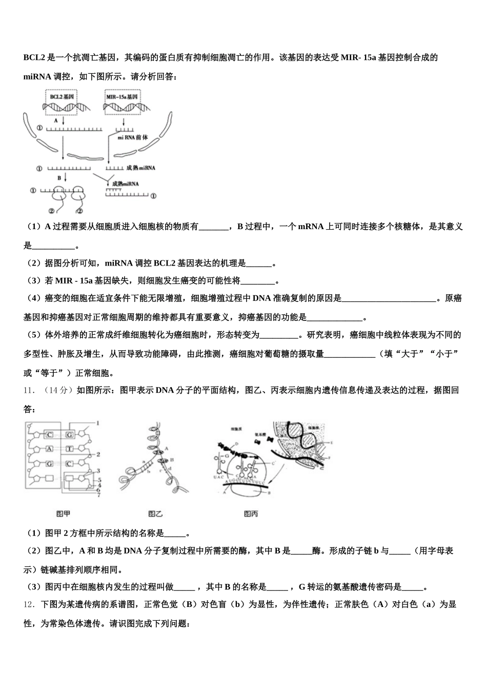 宁夏中卫市一中2025年高一下生物期末检测模拟试题含解析_第3页