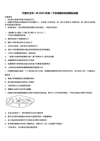宁夏中卫市一中2025年高一下生物期末检测模拟试题含解析