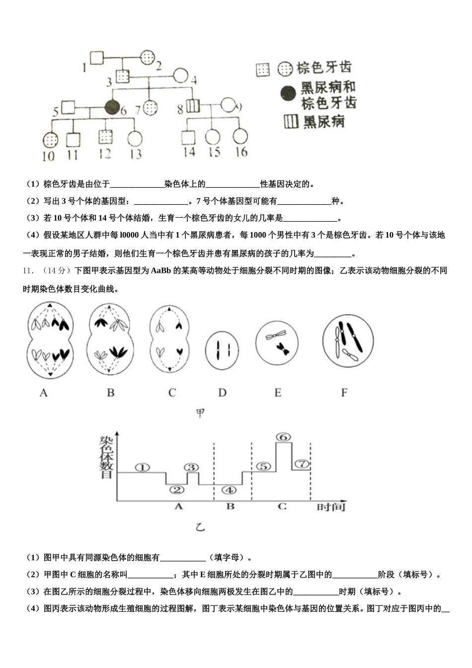 贵州省贵阳市第三十八中学2024-2025学年生物高一下期末考试模拟试题含解析_第3页