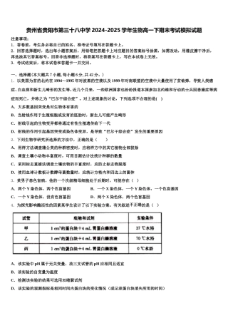 贵州省贵阳市第三十八中学2024-2025学年生物高一下期末考试模拟试题含解析