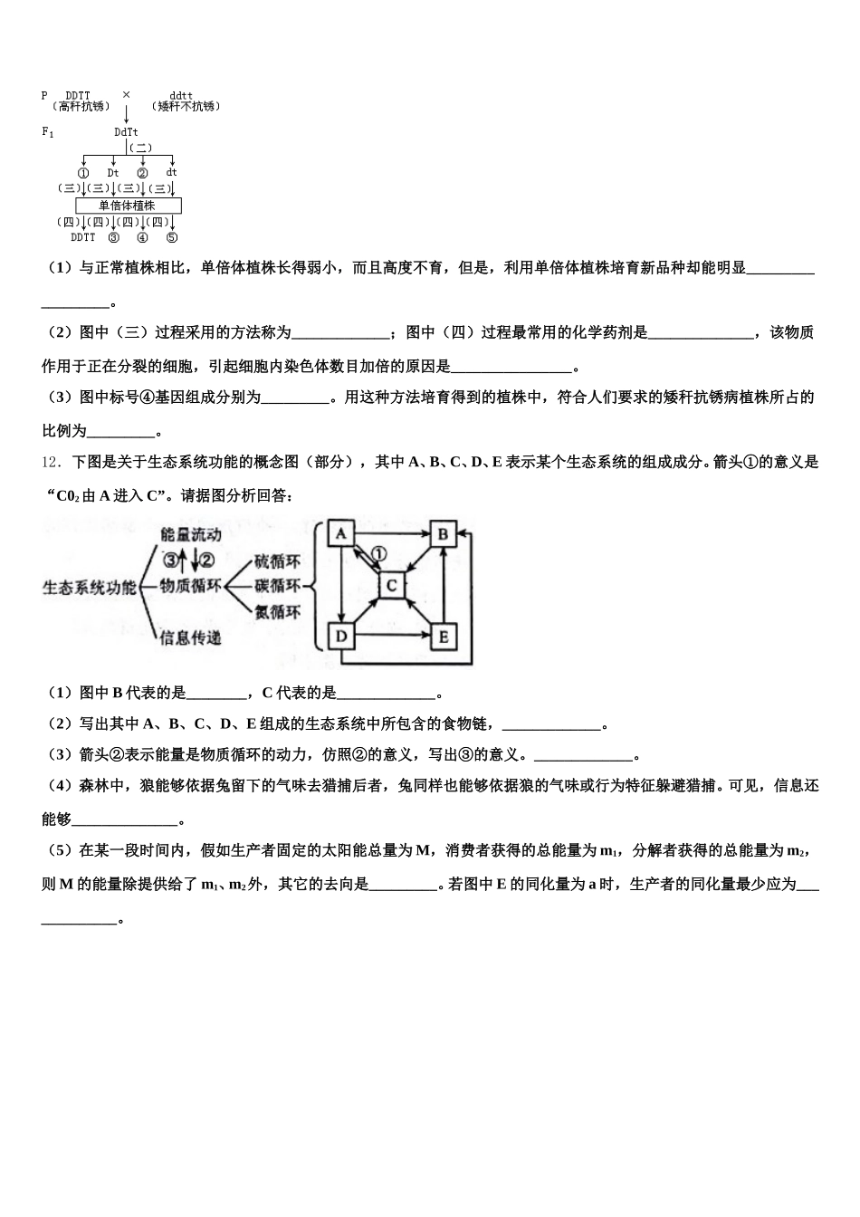 贵州省安顺市2025届高一下生物期末达标检测模拟试题含解析_第3页
