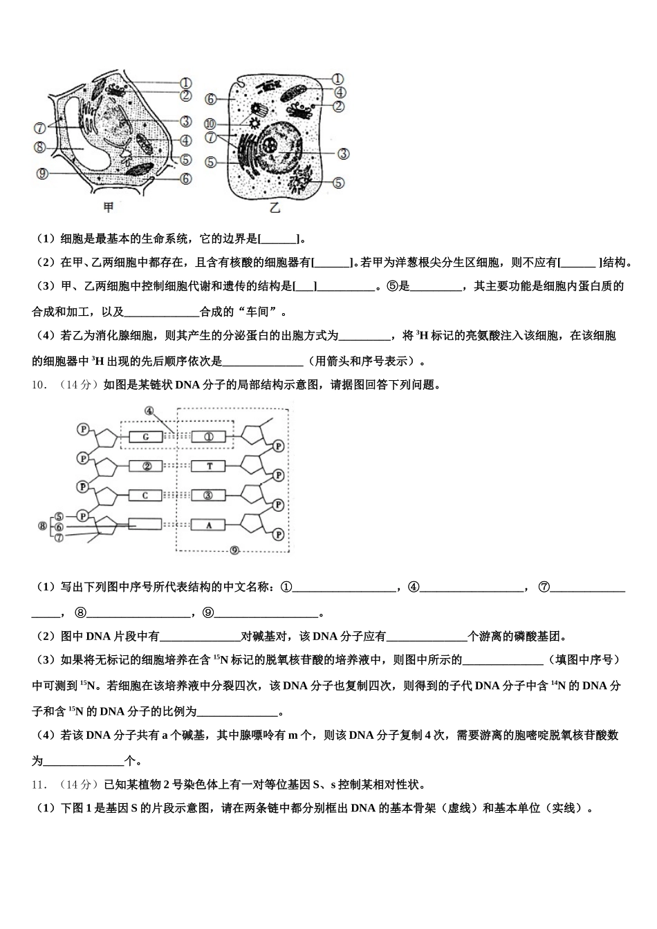 贵州省遵义市凤冈县第一中学2024-2025学年高一下生物期末达标测试试题含解析_第3页