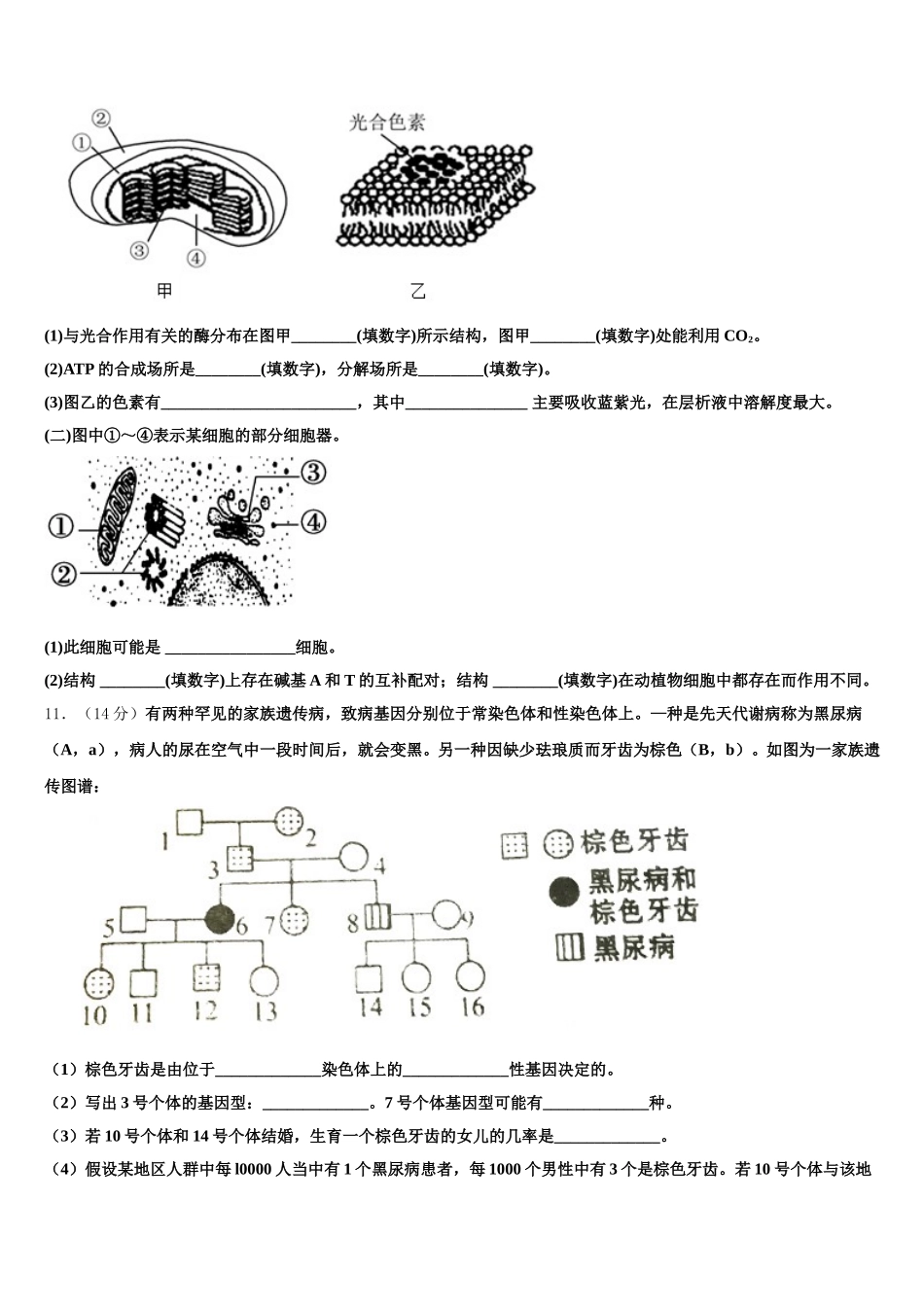 2025届贵州省安顺市普通高中高一下生物期末考试试题含解析_第3页