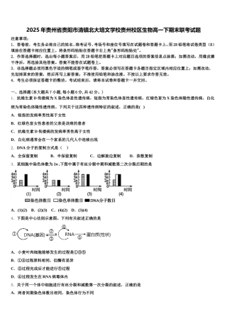 2025年贵州省贵阳市清镇北大培文学校贵州校区生物高一下期末联考试题含解析