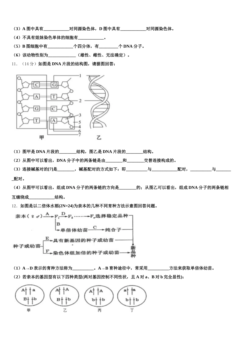 2024-2025学年贵州省铜仁市铜仁一中生物高一第二学期期末学业质量监测模拟试题含解析_第3页