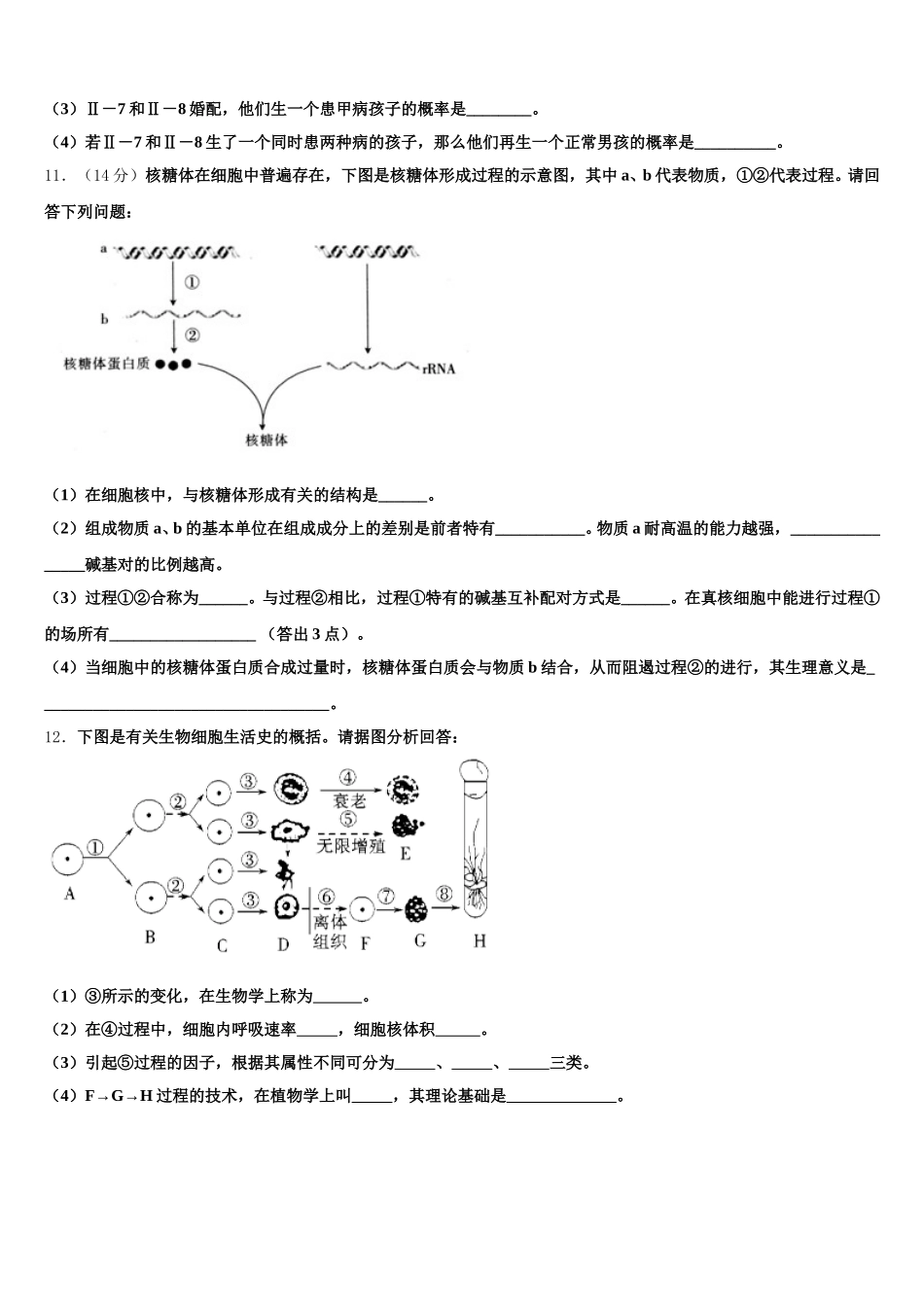 2024-2025学年贵州省遵义市遵义市第四中学生物高一下期末质量检测模拟试题含解析_第3页