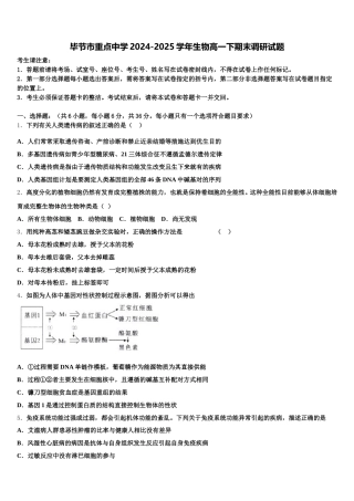 毕节市重点中学2024-2025学年生物高一下期末调研试题含解析