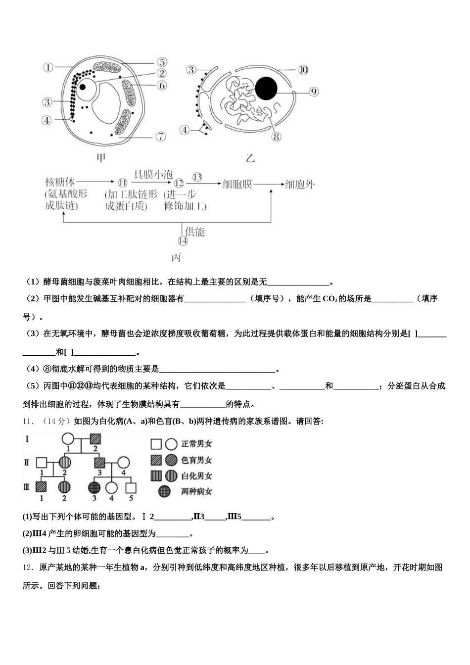 贵州省铜仁市石阡县民族中学2024-2025学年生物高一下期末达标测试试题含解析_第3页