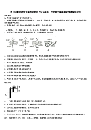 贵州省北京师范大学贵阳附中2025年高一生物第二学期期末考试模拟试题含解析