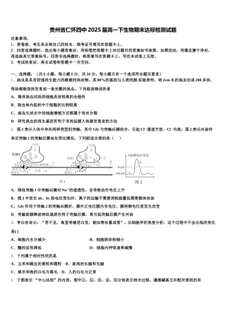 贵州省仁怀四中2025届高一下生物期末达标检测试题含解析