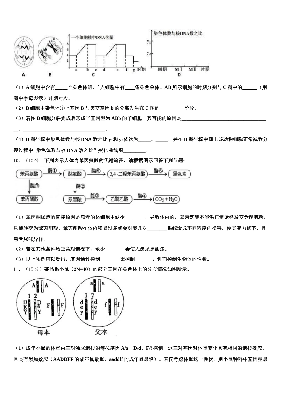 2025年贵州省毕节市织金第一中学高一下生物期末质量跟踪监视模拟试题含解析_第3页