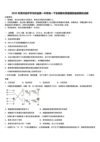 2025年贵州省毕节市织金第一中学高一下生物期末质量跟踪监视模拟试题含解析