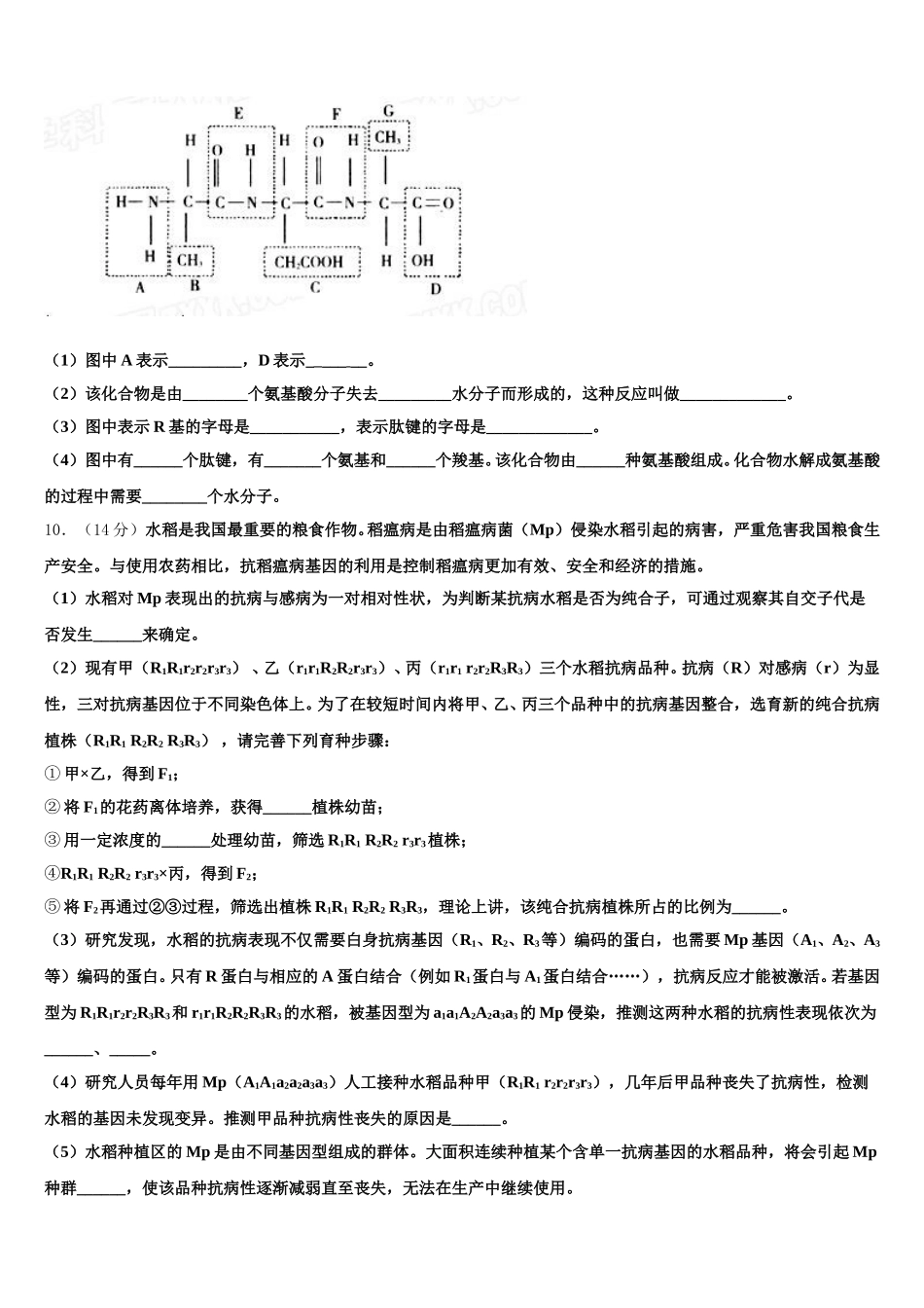 2024-2025学年贵州省黔南高一下生物期末复习检测试题含解析_第3页