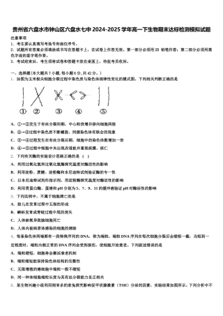 贵州省六盘水市钟山区六盘水七中2024-2025学年高一下生物期末达标检测模拟试题含解析