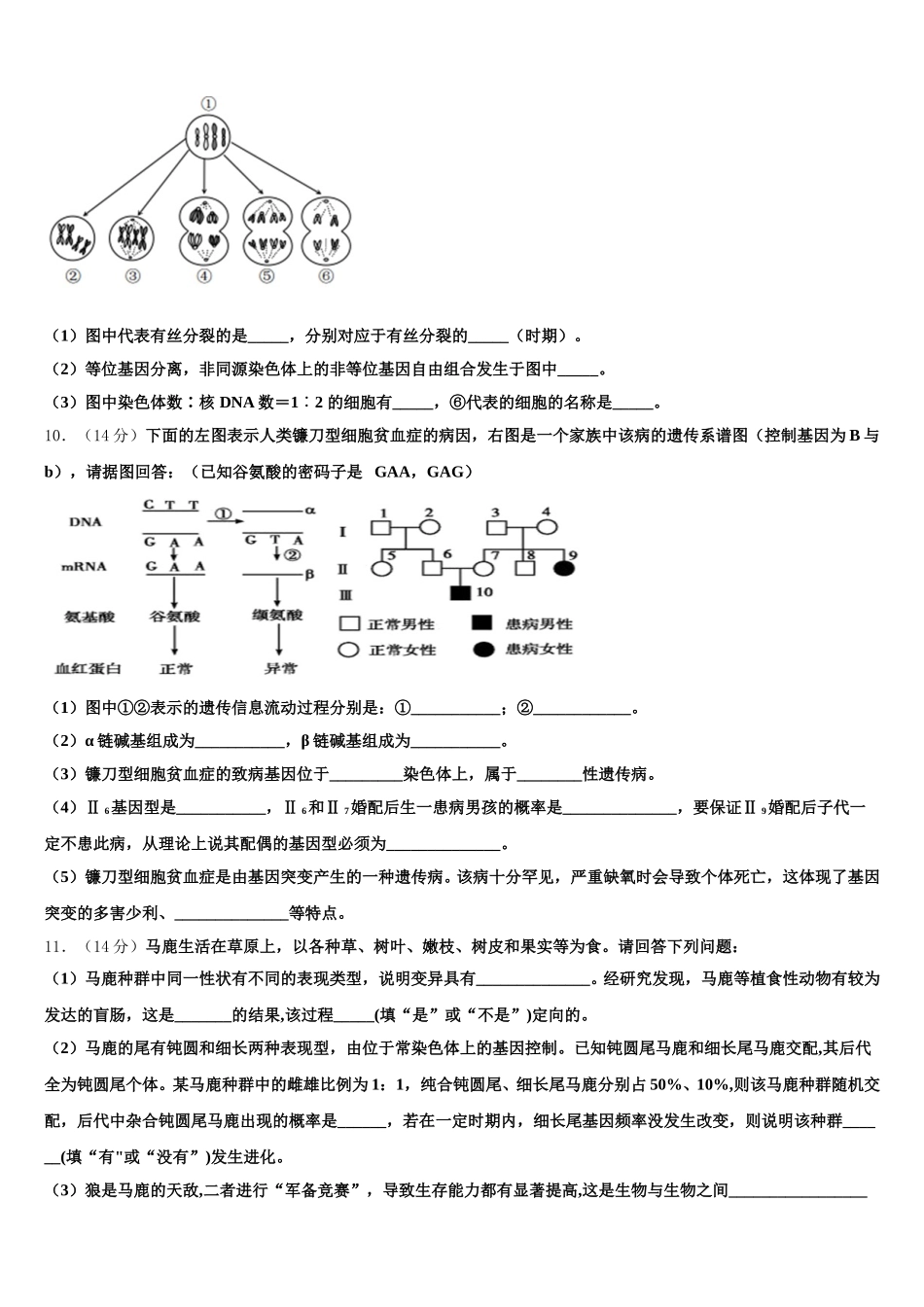 2025年贵州省安顺市普通高中生物高一下期末预测试题含解析_第3页