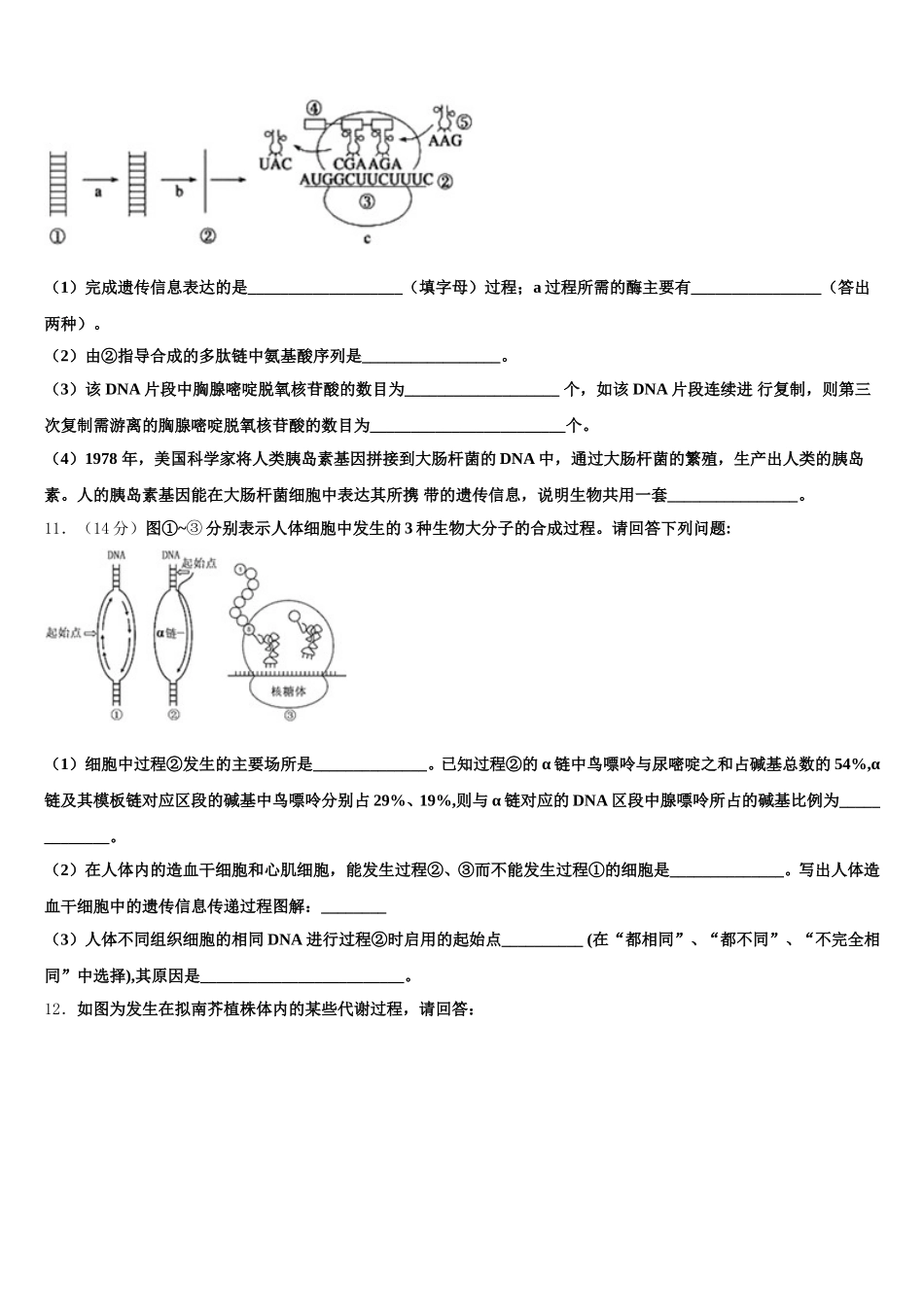 2025届贵州省贵阳附中生物高一第二学期期末学业质量监测模拟试题含解析_第3页