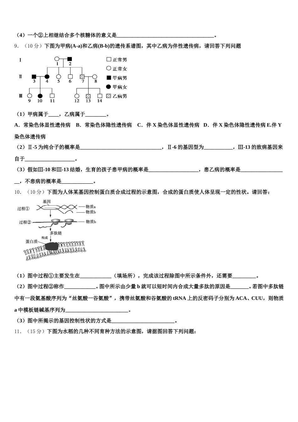 贵州省六盘水市第二十三中学2024-2025学年高一下生物期末检测模拟试题含解析_第3页
