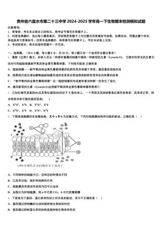 贵州省六盘水市第二十三中学2024-2025学年高一下生物期末检测模拟试题含解析