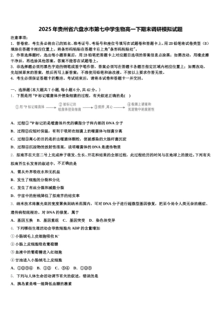 2025年贵州省六盘水市第七中学生物高一下期末调研模拟试题含解析