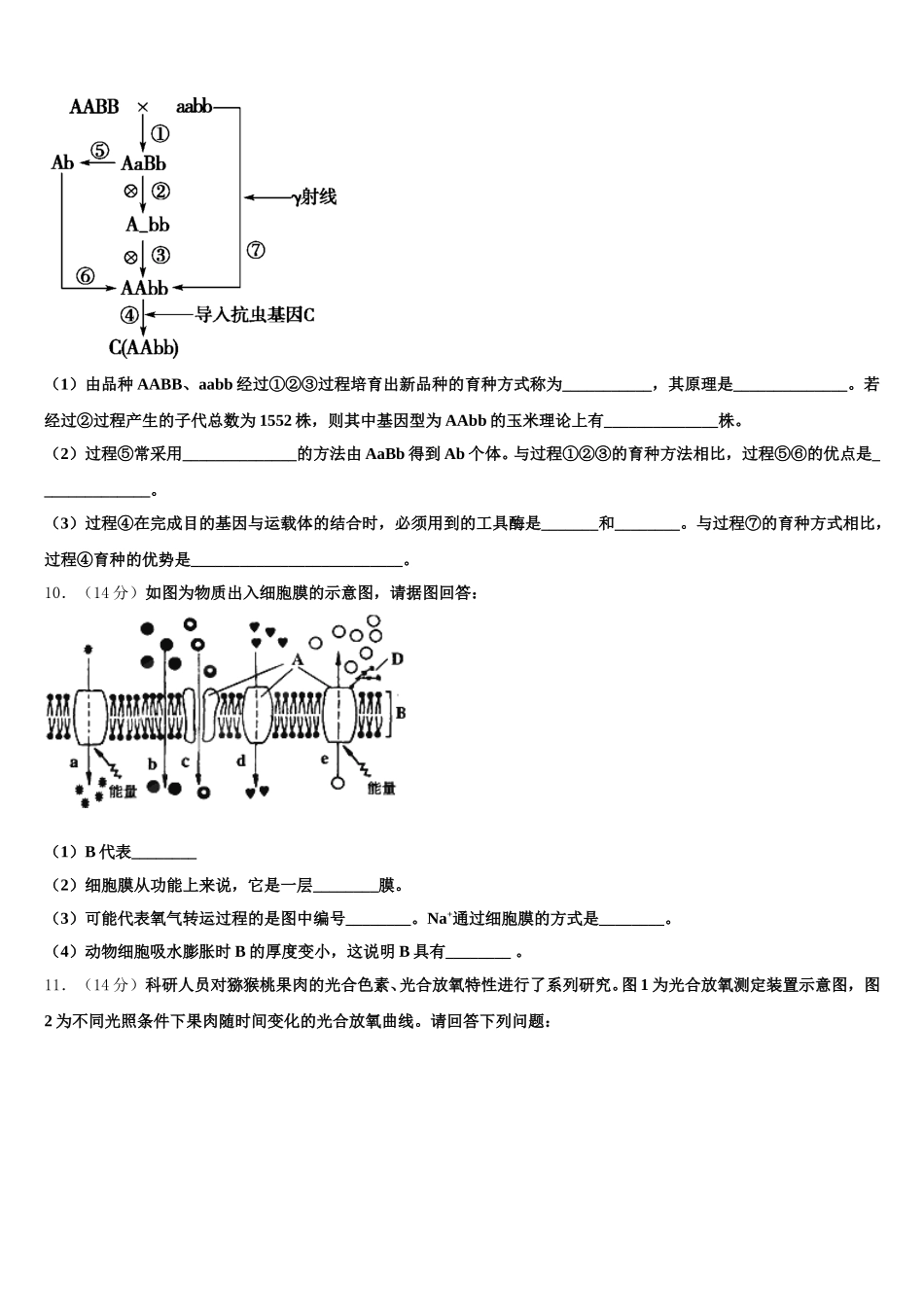 2024-2025学年贵州省志诚实验学校高一生物第二学期期末考试模拟试题含解析_第3页