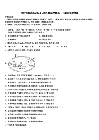 贵州省黔西县2024-2025学年生物高一下期末考试试题含解析