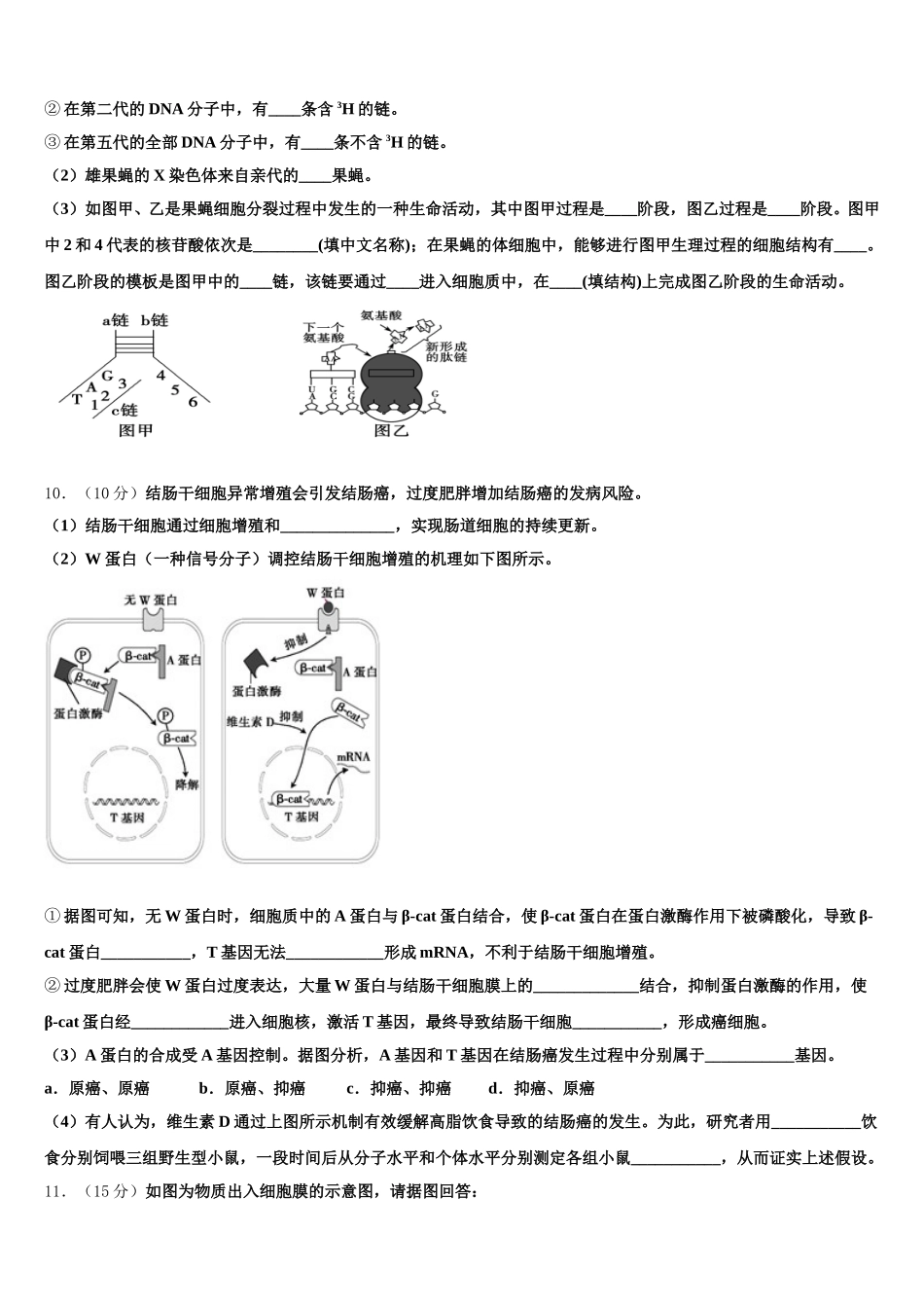 2025年贵州省毕节梁才学校生物高一第二学期期末达标检测模拟试题含解析_第3页