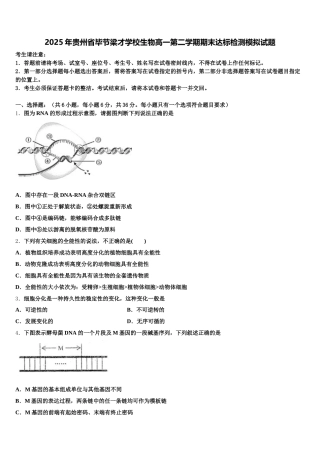 2025年贵州省毕节梁才学校生物高一第二学期期末达标检测模拟试题含解析