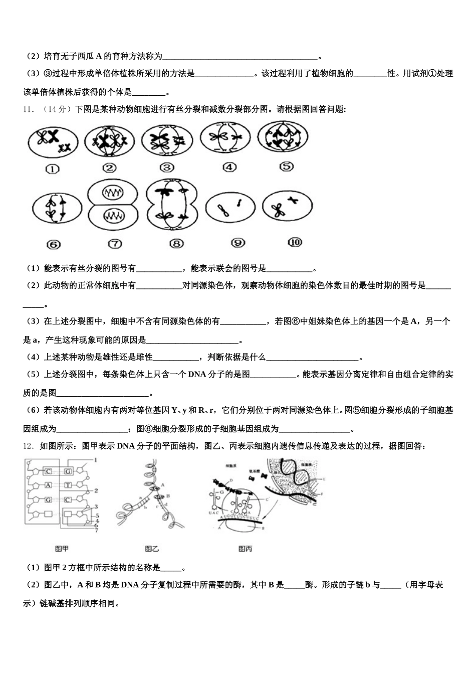 贵州省铜仁市德江县第二中学2025年生物高一下期末学业水平测试模拟试题含解析_第3页