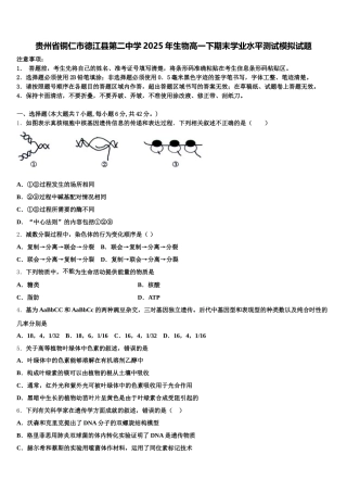 贵州省铜仁市德江县第二中学2025年生物高一下期末学业水平测试模拟试题含解析