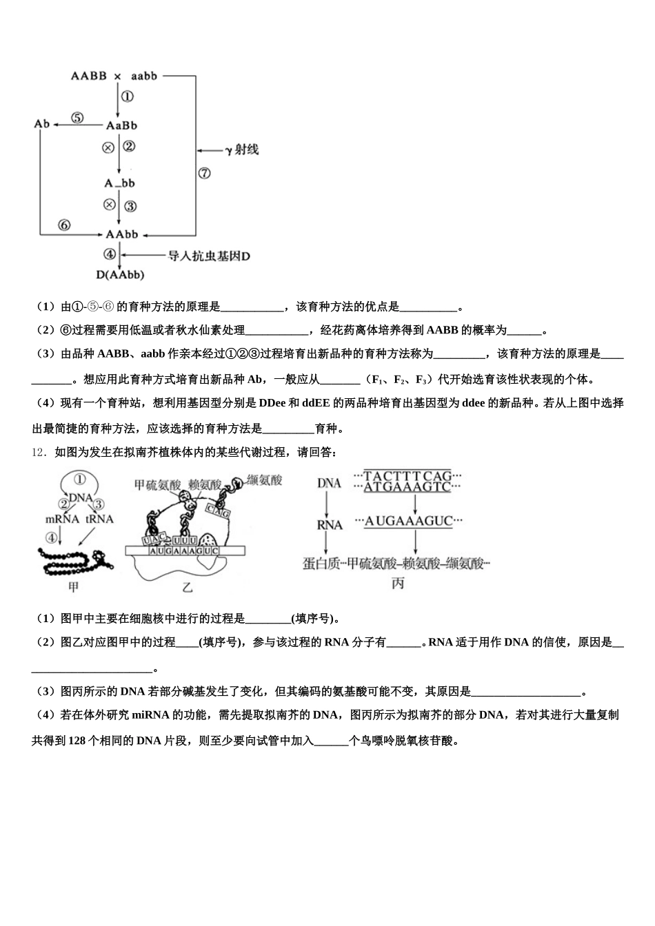 贵州省南白中学2025届生物高一下期末考试模拟试题含解析_第3页