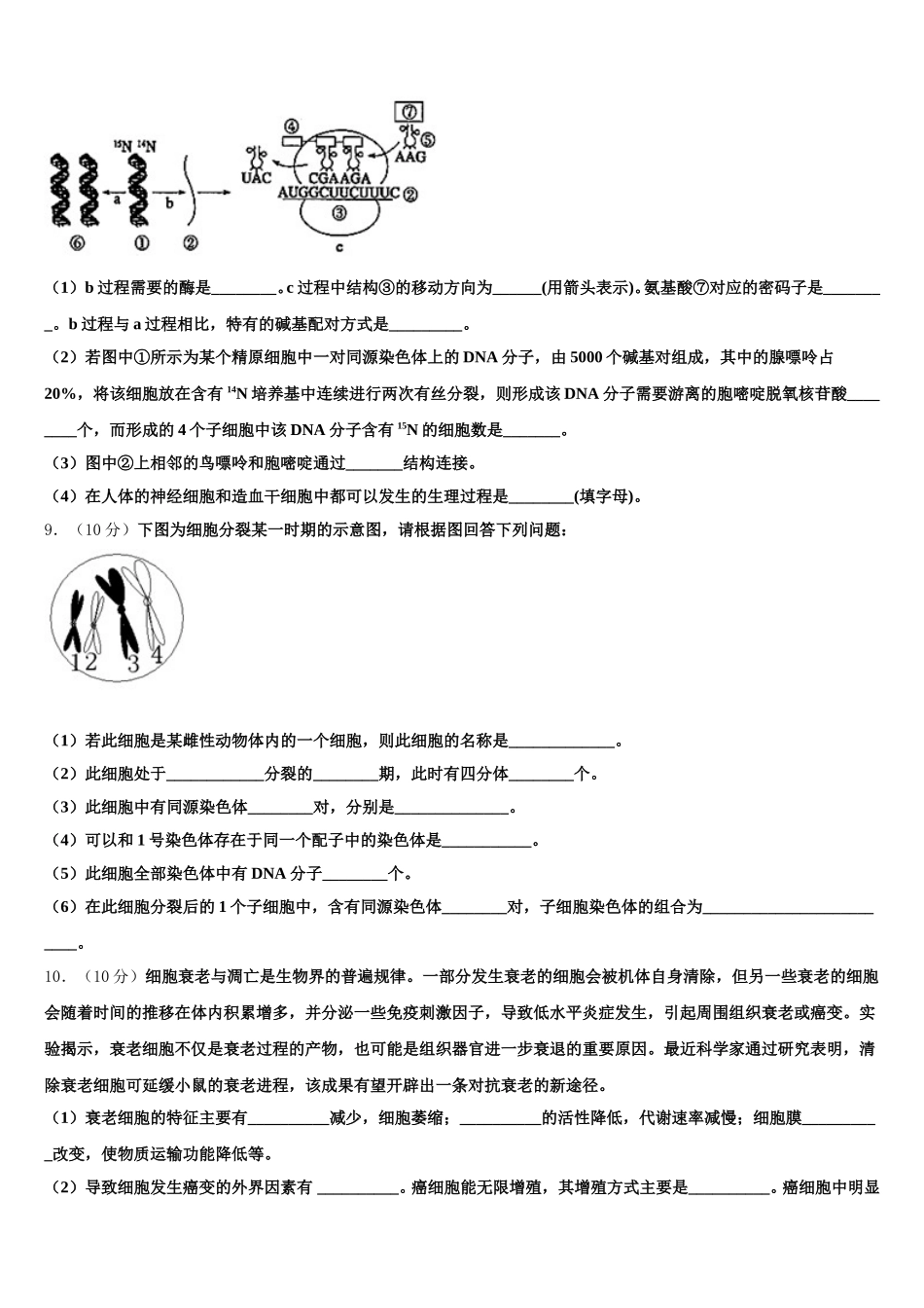2024-2025学年贵州省六盘水市六枝特区七中生物高一下期末调研试题含解析_第3页