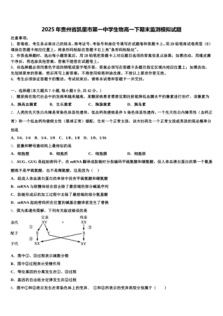2025年贵州省凯里市第一中学生物高一下期末监测模拟试题含解析
