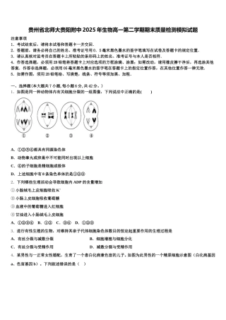贵州省北师大贵阳附中2025年生物高一第二学期期末质量检测模拟试题含解析