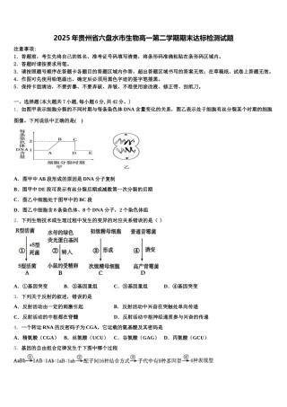 2025年贵州省六盘水市生物高一第二学期期末达标检测试题含解析