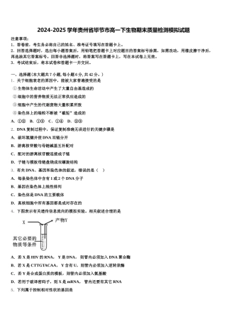 2024-2025学年贵州省毕节市高一下生物期末质量检测模拟试题含解析