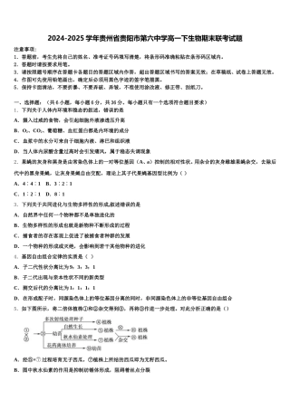 2024-2025学年贵州省贵阳市第六中学高一下生物期末联考试题含解析