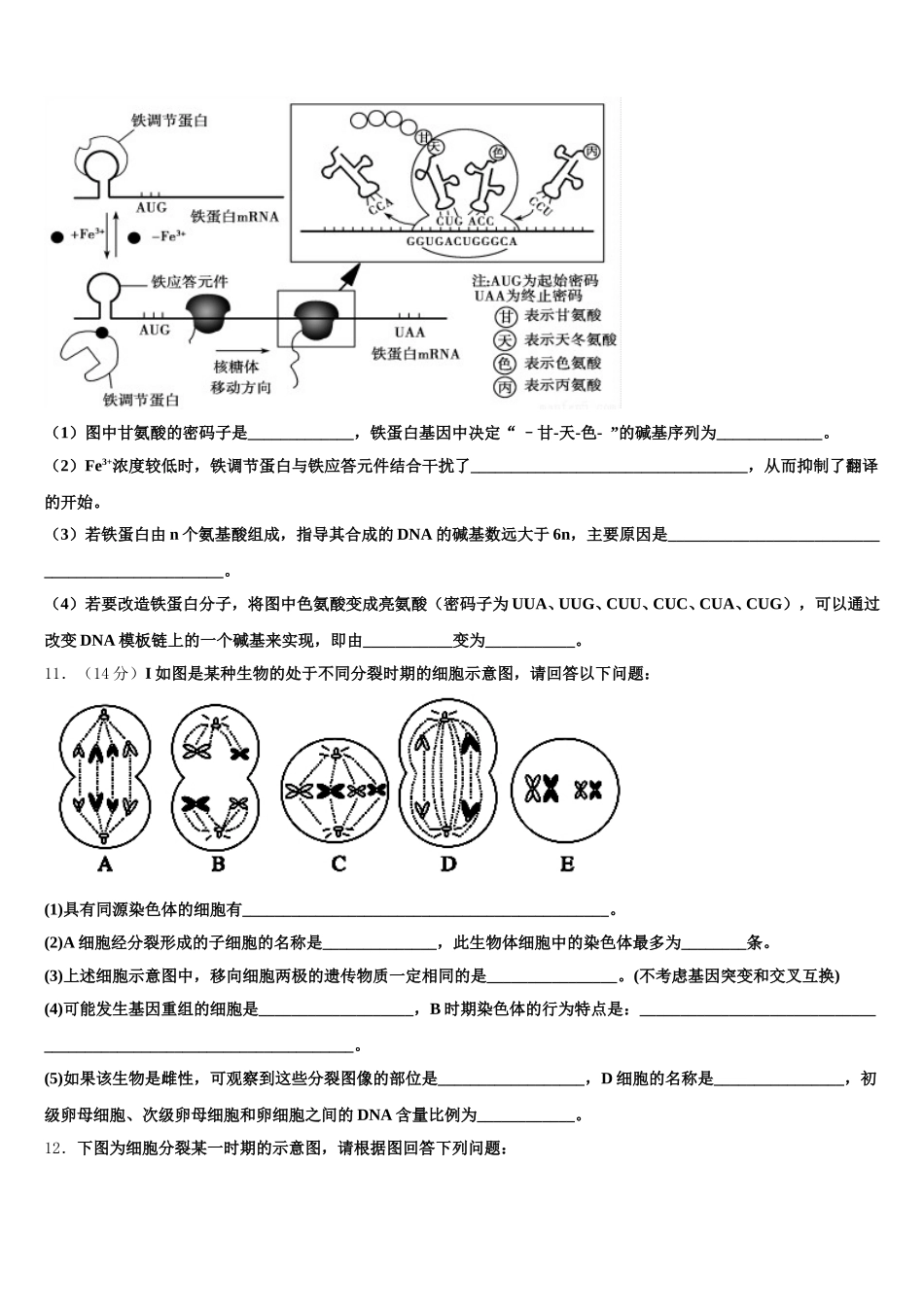 毕节市重点中学2024-2025学年生物高一下期末达标测试试题含解析_第3页