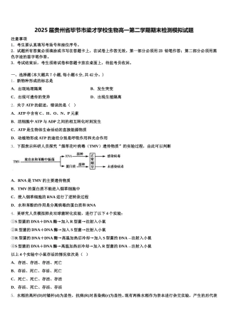 2025届贵州省毕节市梁才学校生物高一第二学期期末检测模拟试题含解析