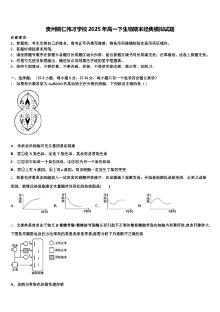 贵州铜仁伟才学校2025年高一下生物期末经典模拟试题含解析