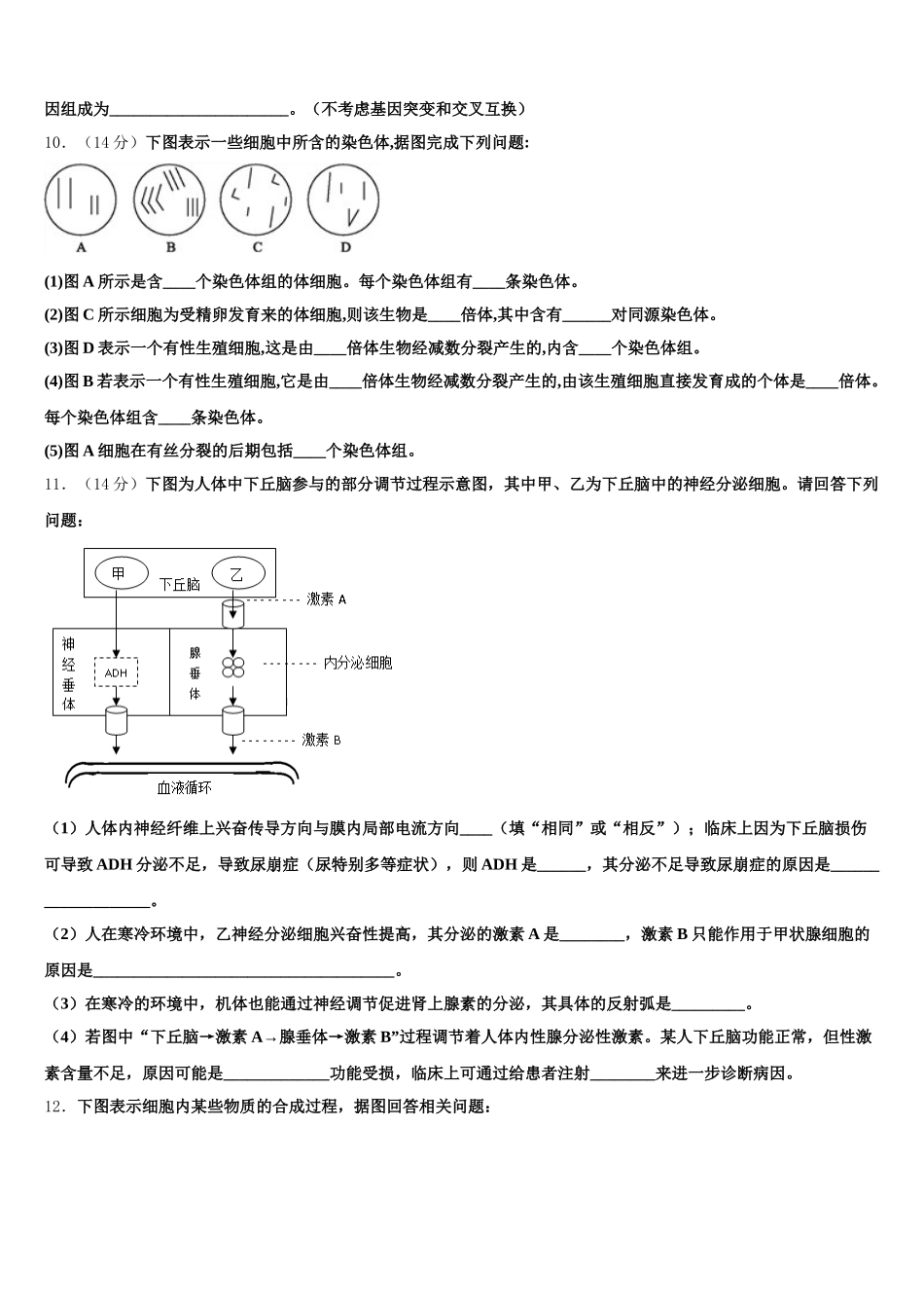 贵州省铜仁市德江县第二中学2025届生物高一下期末达标测试试题含解析_第3页