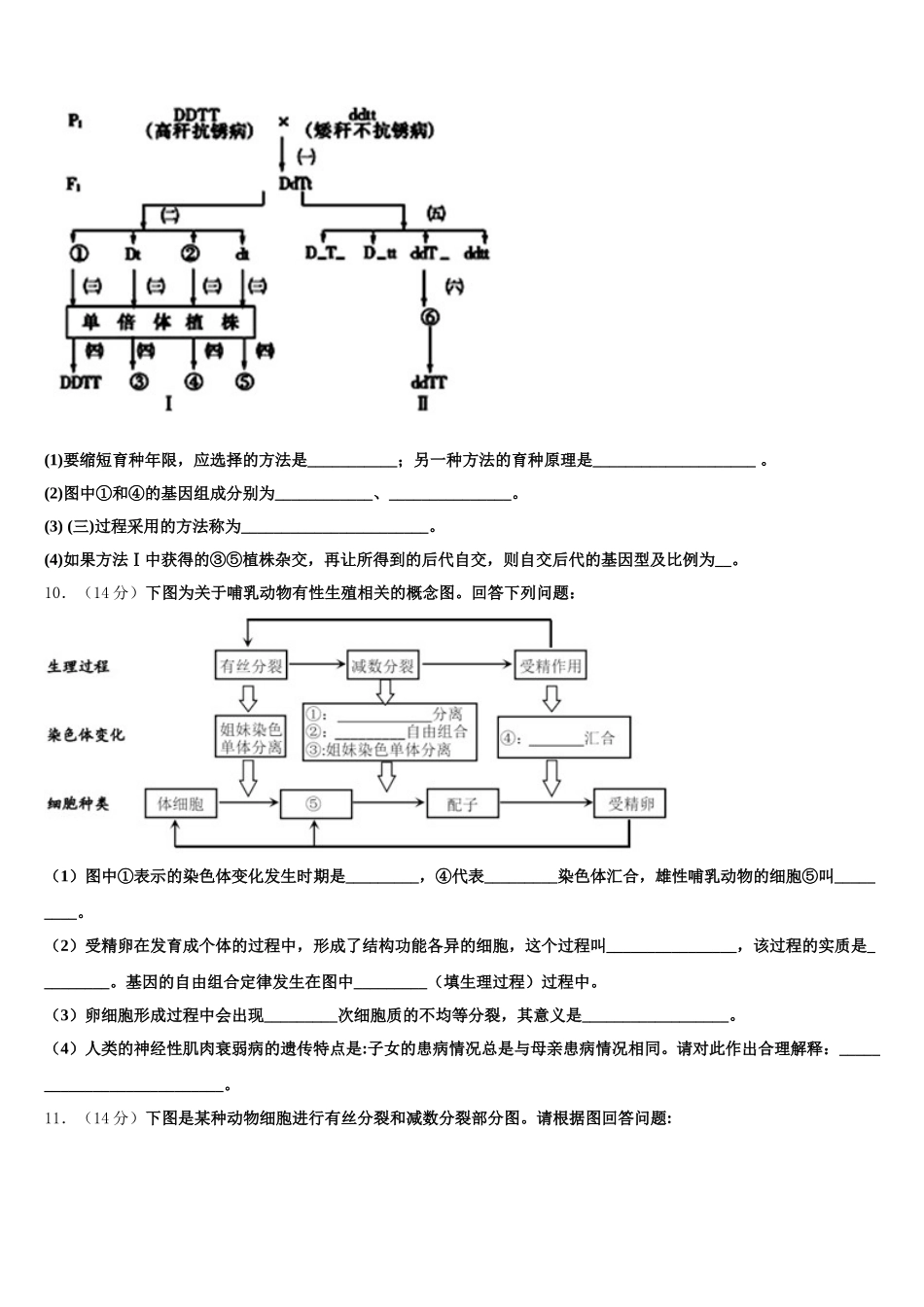 2025届贵州省毕节市纳雍县第五中学生物高一下期末达标检测试题含解析_第3页