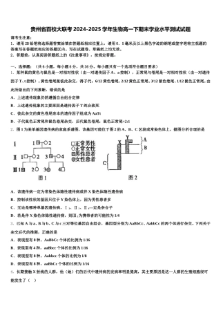贵州省百校大联考2024-2025学年生物高一下期末学业水平测试试题含解析