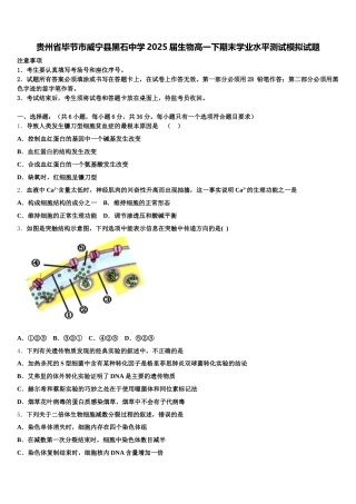 贵州省毕节市威宁县黑石中学2025届生物高一下期末学业水平测试模拟试题含解析