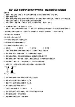 2024-2025学年贵州六盘水育才中学生物高一第二学期期末综合测试试题含解析