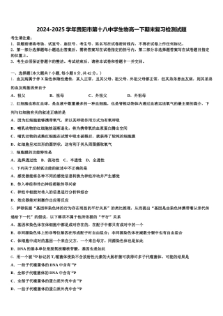 2024-2025学年贵阳市第十八中学生物高一下期末复习检测试题含解析