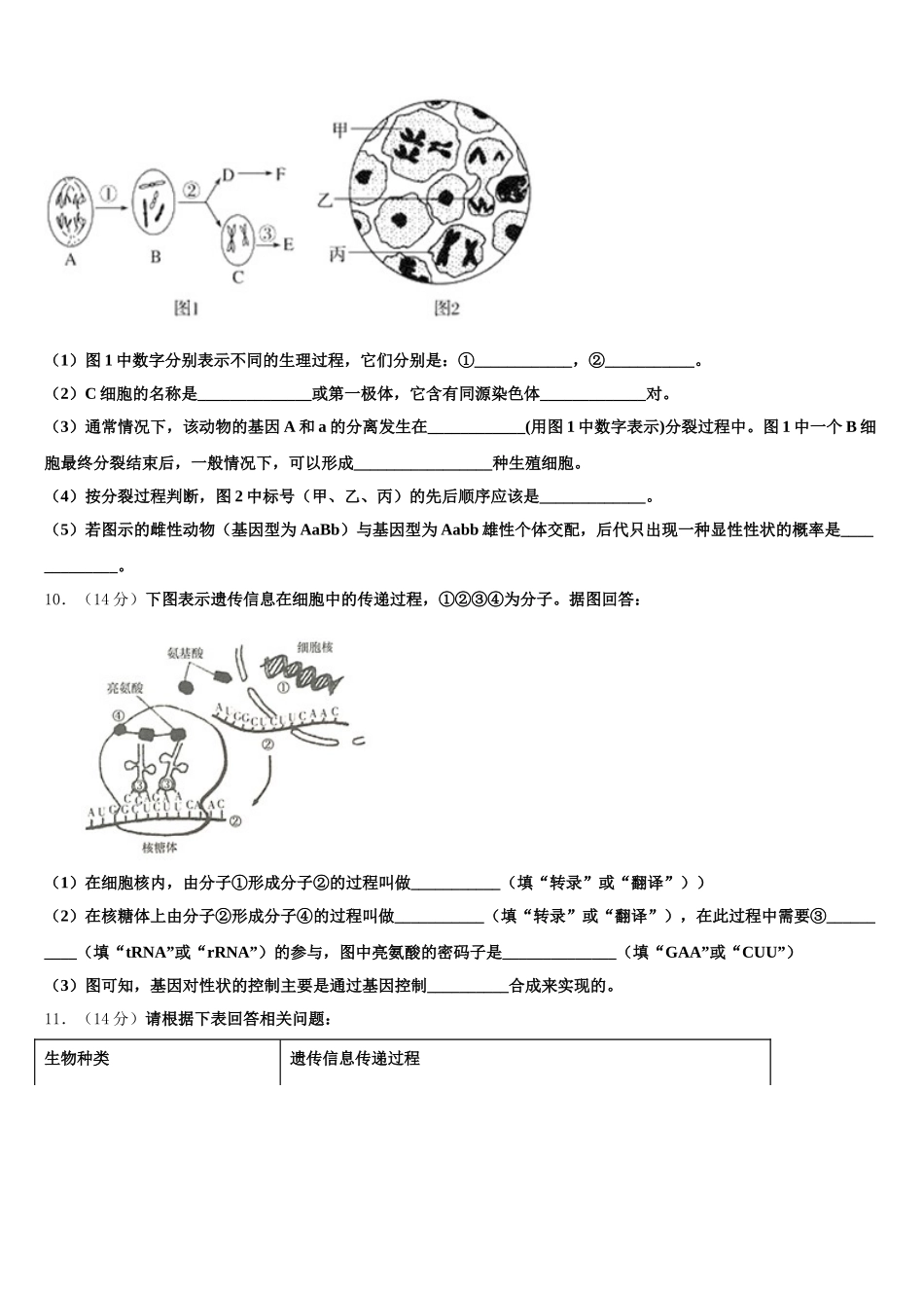 2025届贵州省长顺县民族高级中学高一生物第二学期期末质量跟踪监视模拟试题含解析_第3页