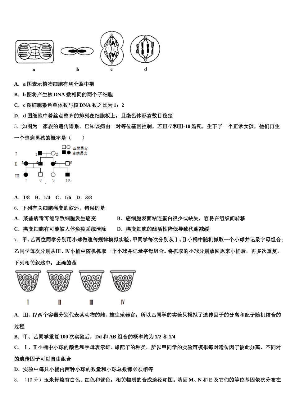 六盘水市重点中学2025届高一下生物期末复习检测模拟试题含解析_第2页