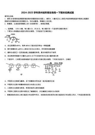 2024-2025学年贵州省黔南生物高一下期末经典试题含解析