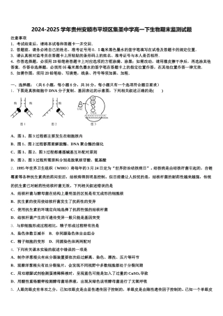 2024-2025学年贵州安顺市平坝区集圣中学高一下生物期末监测试题含解析